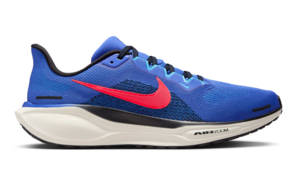 Nike Pegasus 41